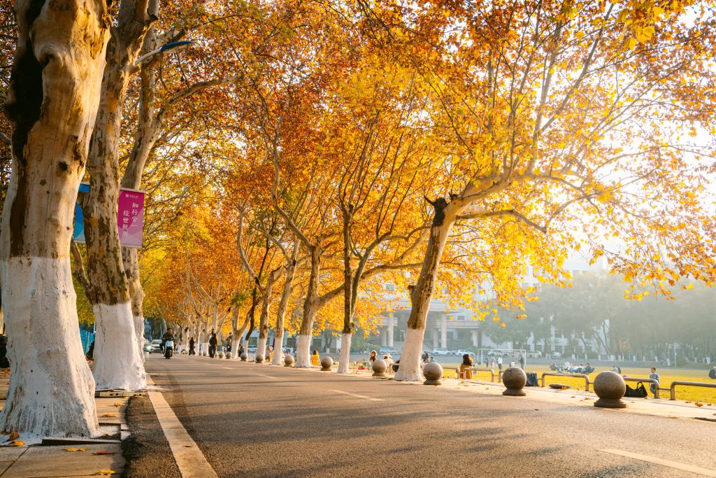 全球最大博彩平台