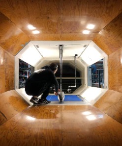 全球最大博彩平台