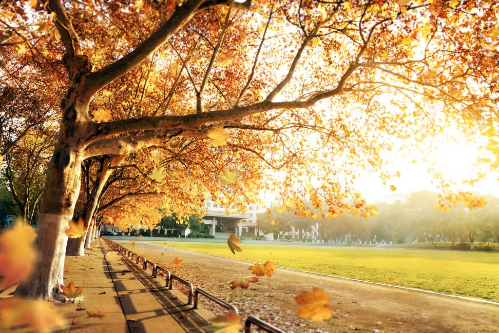 全球最大博彩平台