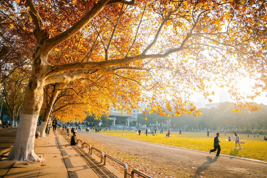 全球最大博彩平台