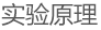 全球最大博彩平台